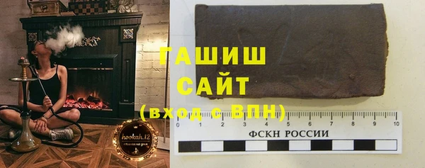 гашик Козельск