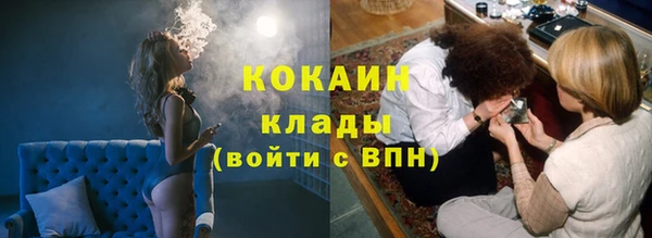 дживик Арсеньев