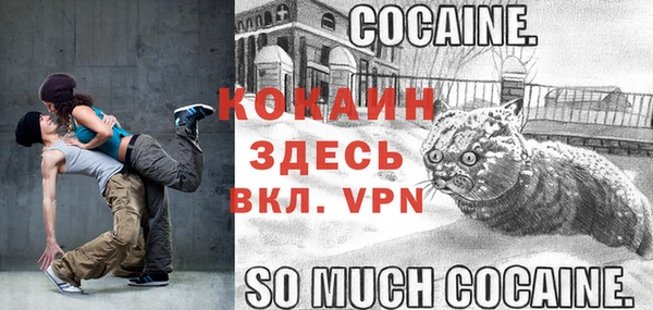 дживик Арсеньев