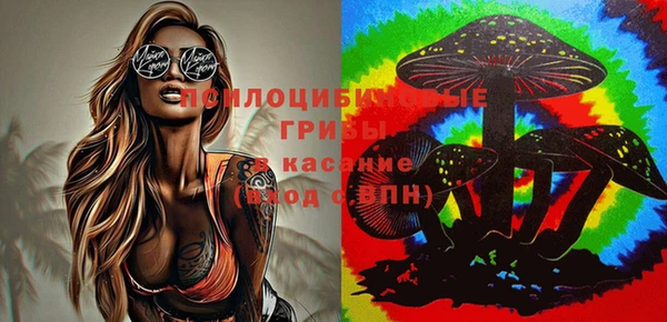скорость Алексин