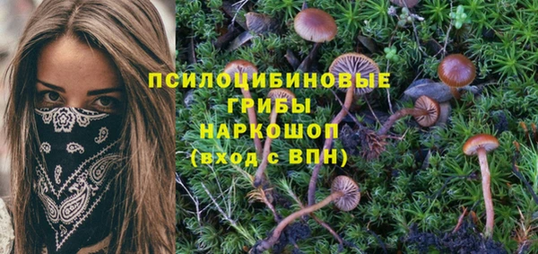 марки nbome Кодинск